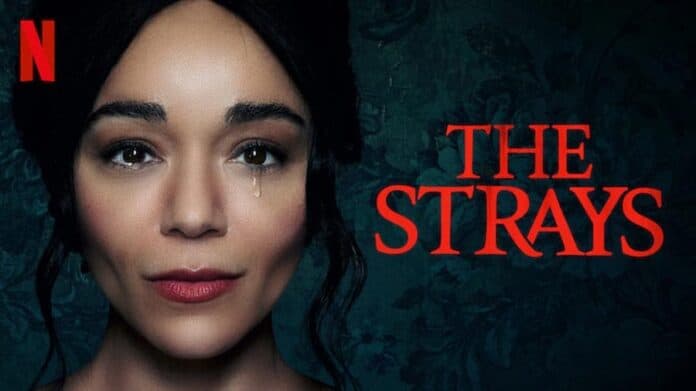 the-strays-netflix